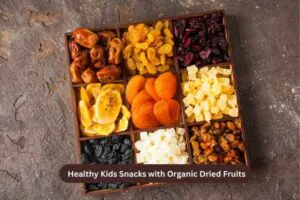 Healthy Kids Snacks with Organic Dried Fruits