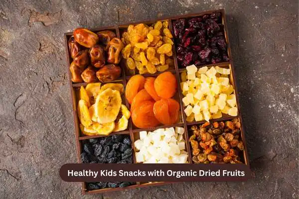 Healthy Kids Snacks with Organic Dried Fruits