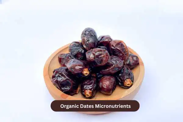 Organic Dates Micronutrients