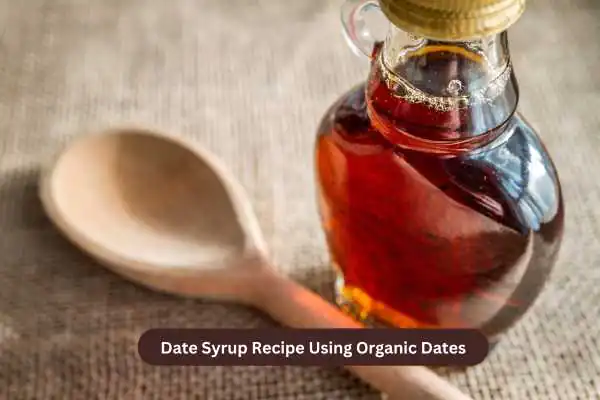 Date Syrup Recipe Using Organic Dates