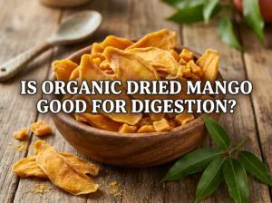 Is Organic Dried Mango Good for Digestion