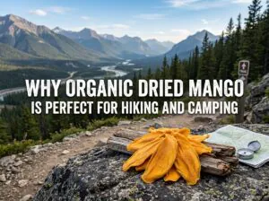 Why Organic Dried Mango Is Perfect for Hiking and Camping